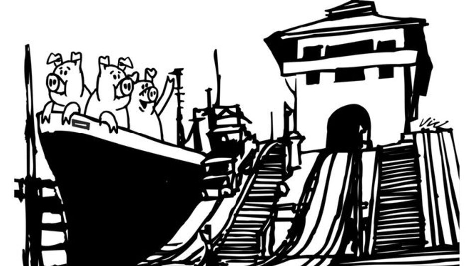 Los tres cerditos y el Canal: Rodolfo Sabonge