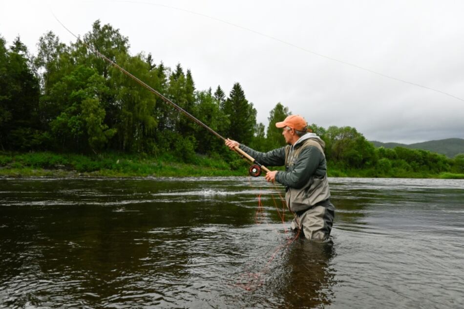 El salmón salvaje de Noruega sufre una lenta agonía por la acuicultura