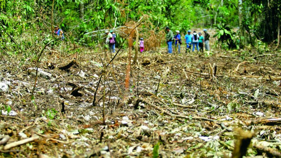 Fomentarán la enseñanza de la educación ambiental
