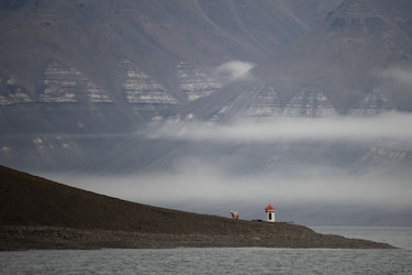 Cada vez peor: las duras conclusiones del informe del clima de la ONU