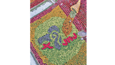 La JMJ, con las flores y el café