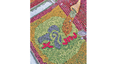 La JMJ, con las flores y el café