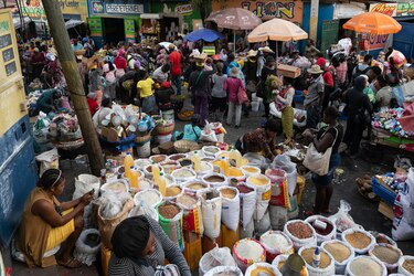 Cruz Roja alerta de profundas necesidades de más de 3 millones de haitianos