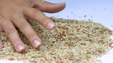 Ministerio de Salud desmiente comercialización de arroz plástico en Panamá