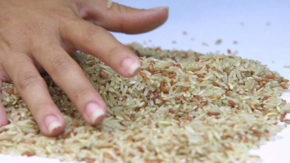 Ministerio de Salud desmiente comercialización de arroz plástico en Panamá