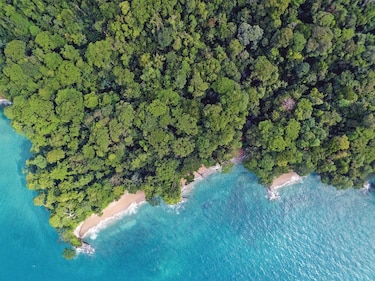 El libro del Escudo de Veraguas