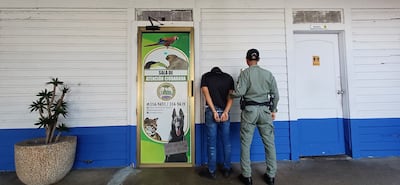 Hurto de cables en Gamboa deja daños económicos en propiedad del Smithsonian