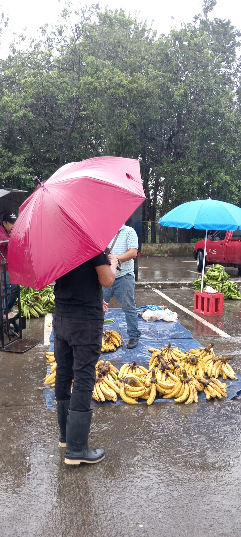 Pérdidas por lluvia podrían generar distorsión en los precios de los productos agrícolas