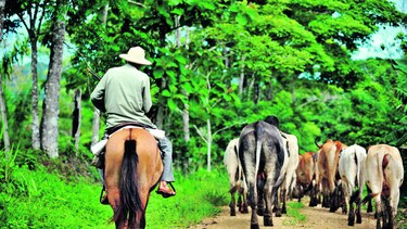 Despierta el agro en Darién