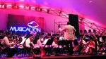 Noches de Musicalion