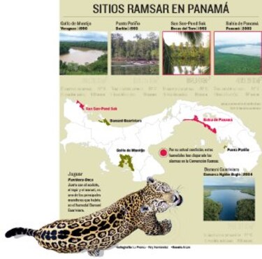 Sitios Ramsar están en peligro