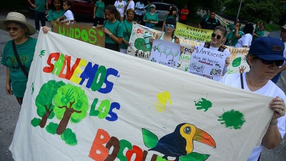 El Consejo Municipal ordena la suspensión temporal de 2 obras en Clayton: Lux y King's College