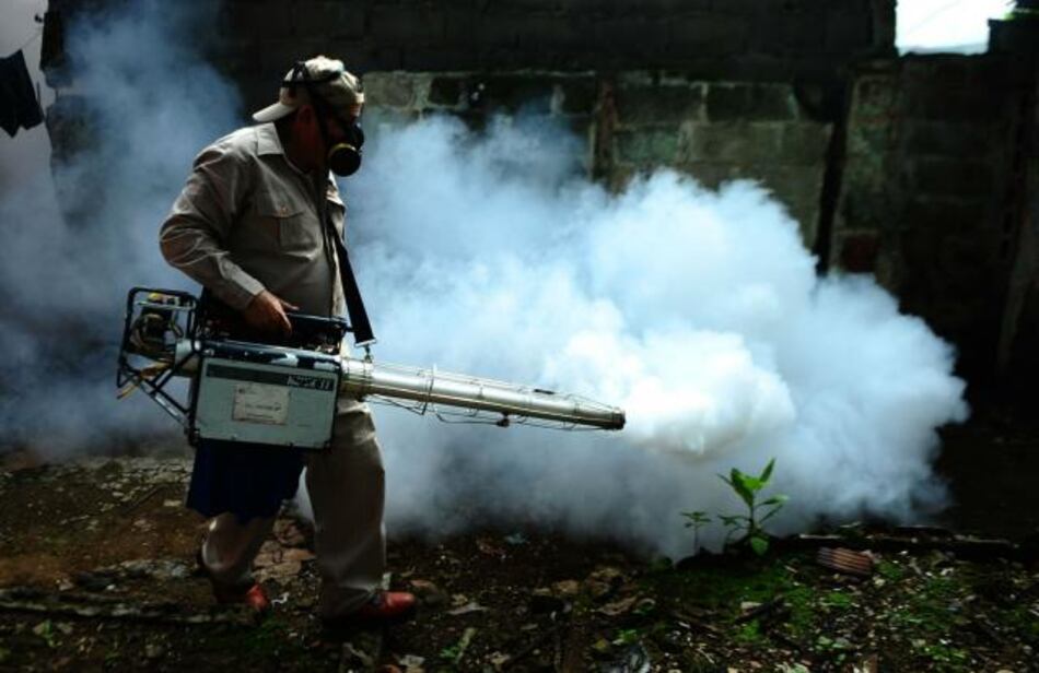 El virus chikungunya llegó a América Latina para quedarse, según experto