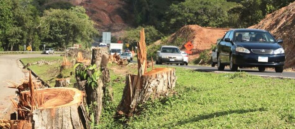 CIAM denuncia campaña de desprestigio de Miambiente contra oenegés