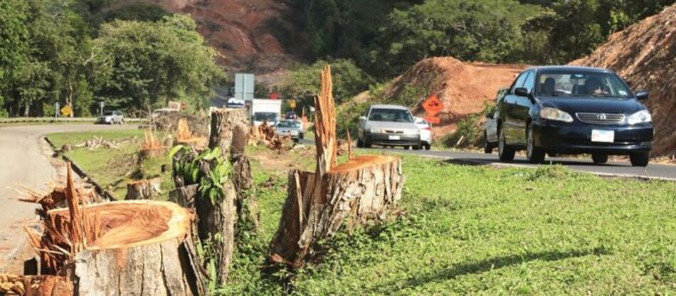 CIAM denuncia campaña de desprestigio de Miambiente contra oenegés