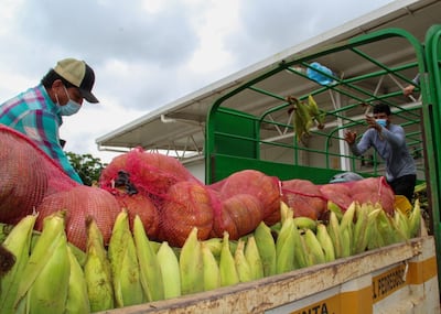 Baja productividad agrícola amenaza seguridad alimentaria en Latinoamérica, alerta el BID