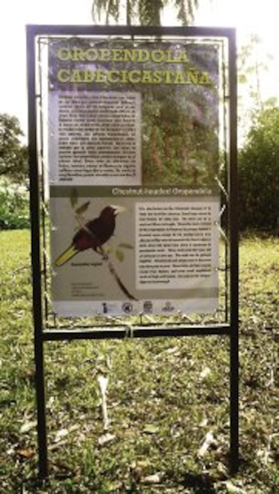 Patrimonio Histórico reclama por un letrero