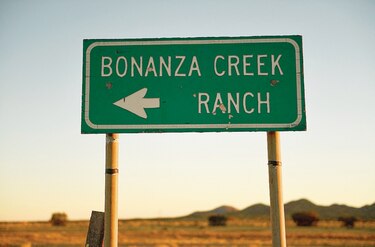 Armera del film ‘Rust’ no sabía que el arma tenía balas reales