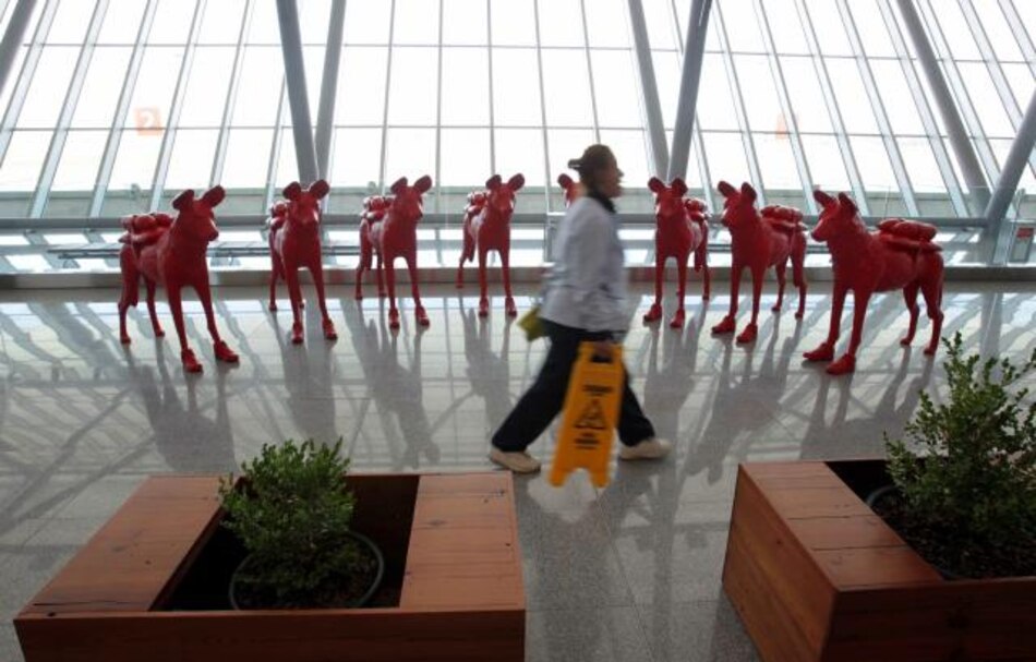 Animales toman aeropuerto de Montevideo para defender la naturaleza