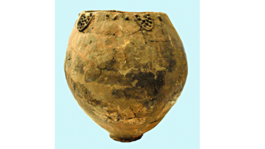 El vino apareció hace 8 mil años