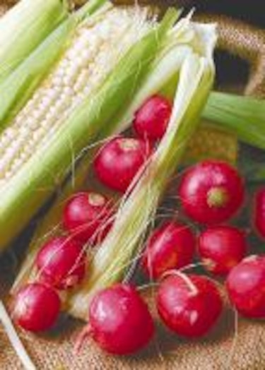 ¡Me importa un rábano!