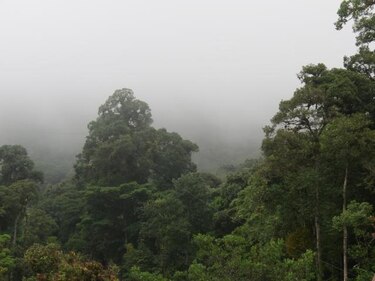 Bomberos rescatan a tres turistas holandesas en la cima del Volcán Barú