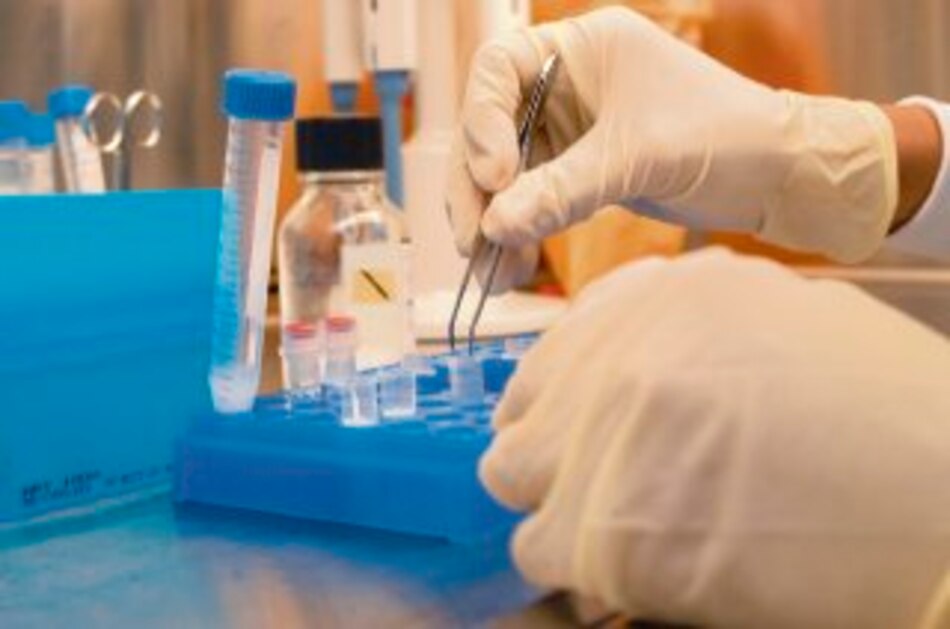 Salud global y los 100 años del Canal