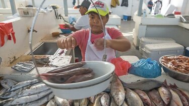 Pescados y mariscos frescos en Río Hato