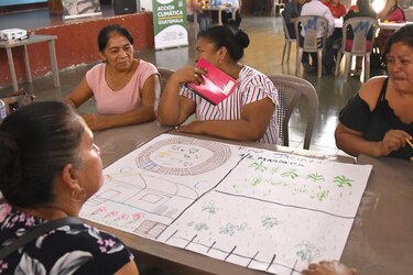 Tecnología y apoyo económico: asistencia humanitaria en el Corredor Seco contra El Niño