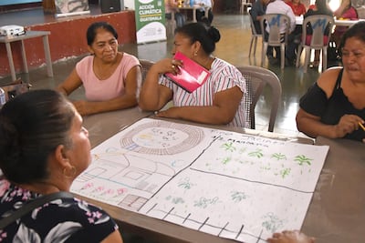 Tecnología y apoyo económico: asistencia humanitaria en el Corredor Seco contra El Niño