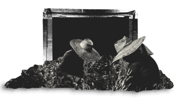 El gran salto a Europa: así es por dentro la nueva cooperación global entre narcos