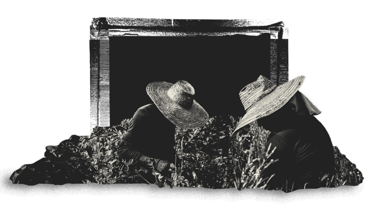 El gran salto a Europa: así es por dentro la nueva cooperación global entre narcos