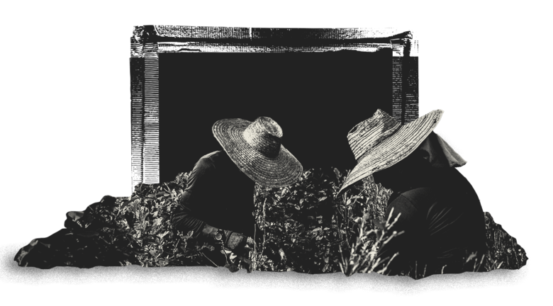 El gran salto a Europa: así es por dentro la nueva cooperación global entre narcos