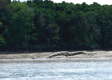 En marcha, consulta pública que busca declarar Matusagaratí sitio Ramsar 