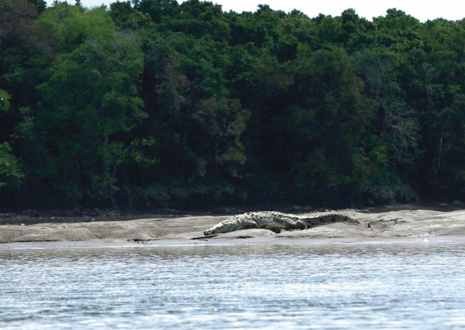 En marcha, consulta pública que busca declarar Matusagaratí sitio Ramsar