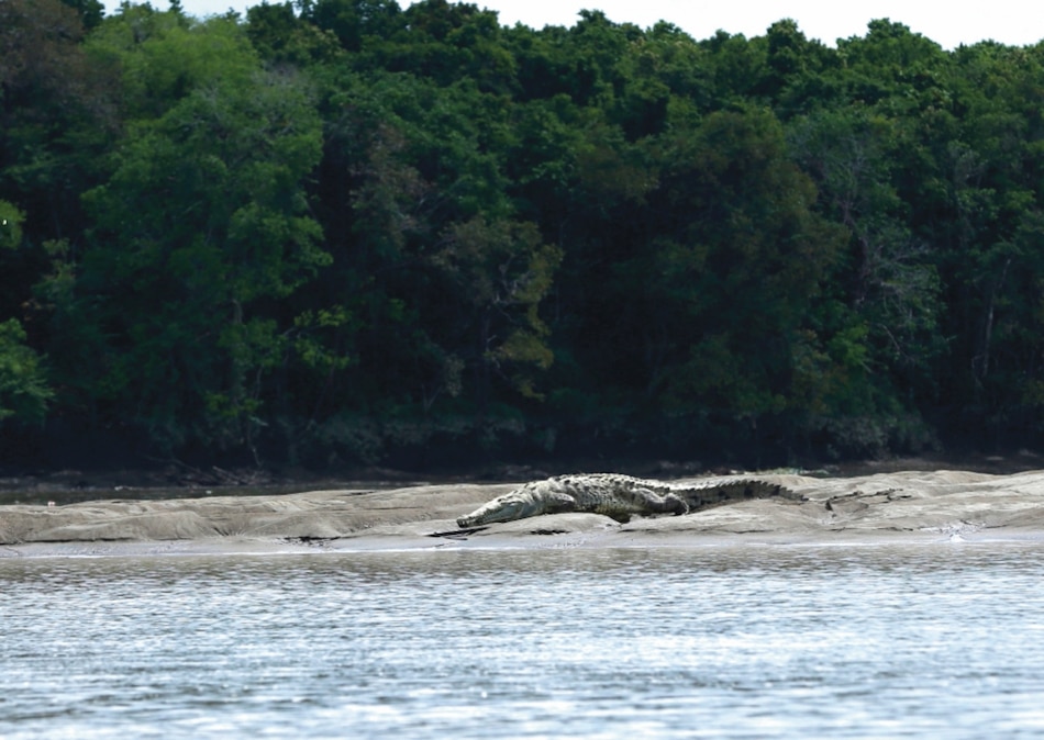 En marcha, consulta pública que busca declarar Matusagaratí sitio Ramsar