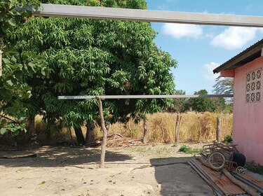 Reportan sexto caso de virus hanta en Herrera
