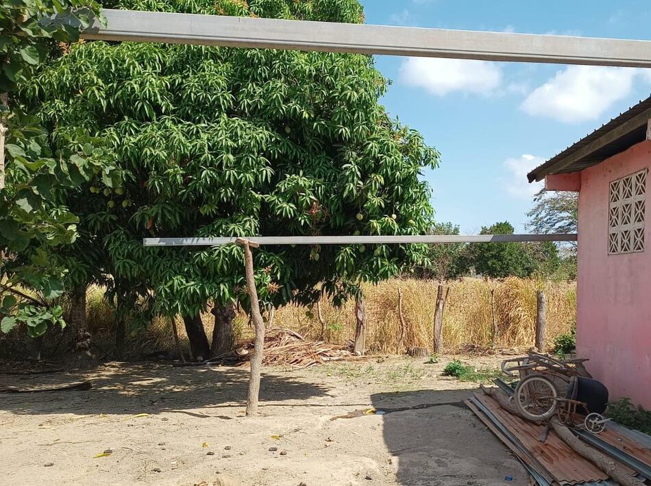 Reportan sexto caso de virus hanta en Herrera