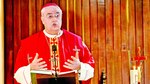 Lacunza viaja a Roma al colegio de cardenales