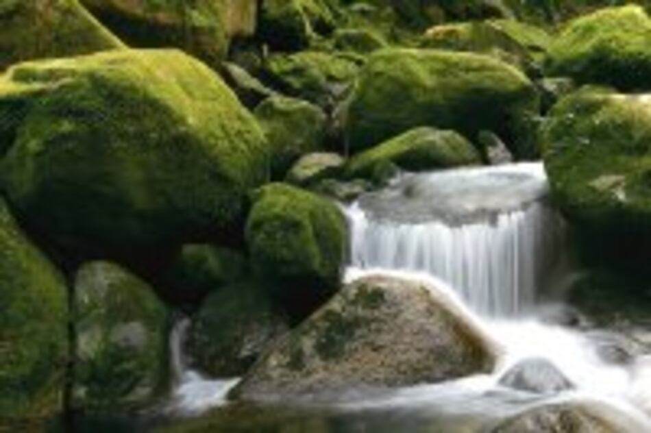 Dos días en el sendero