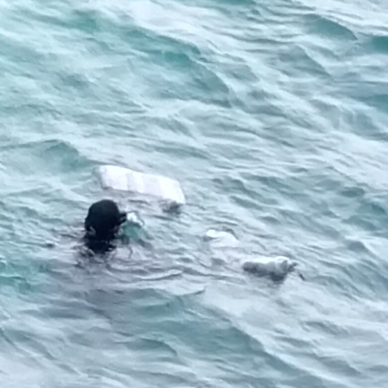 Decomisan 1.7 toneladas de drogas en operaciones efectuadas en Colón, Parita y el Archipiélago de Las Perlas