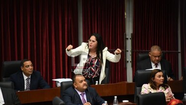 Califican de 'peligrosa' la propuesta de ley sobre reforma migratoria