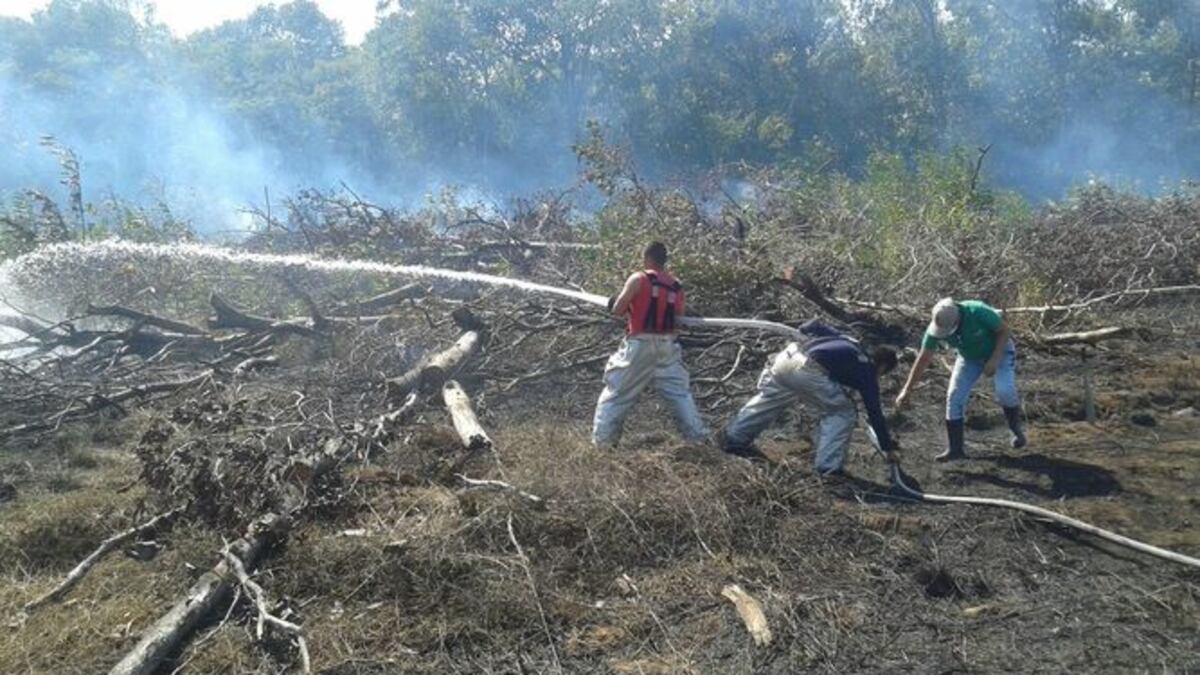 Incendio cerca del aeropuerto de David obligó a la suspensión de los vuelos