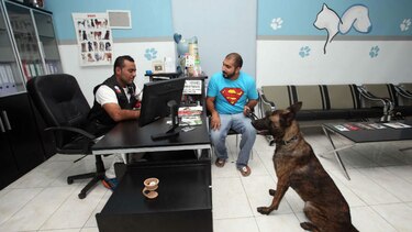 Estudio indica que perro doméstico podría tener dos orígenes