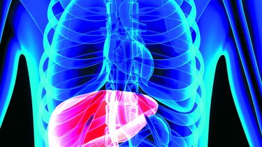 La lucha contra la hepatitis