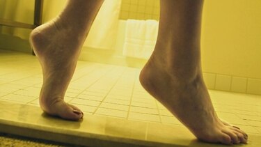 Al paso de los hongos