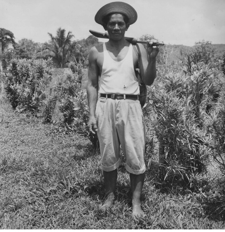 Río Indio, 1963: geología, selva y subsistencia