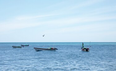 Ley de pesca se debe reglamentar en un periodo de seis meses 