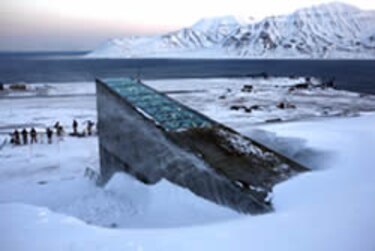 Noruega abre cámara para proteger semillas