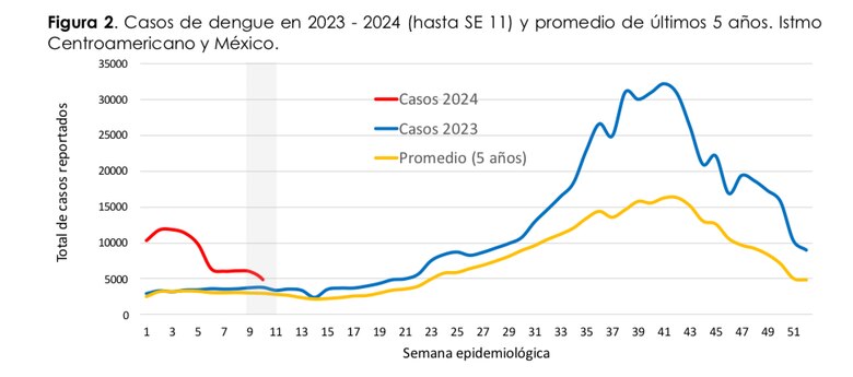 El dengue está al acecho en Panamá: 3 mil 215 casos en 12 semanas epidemiológicas